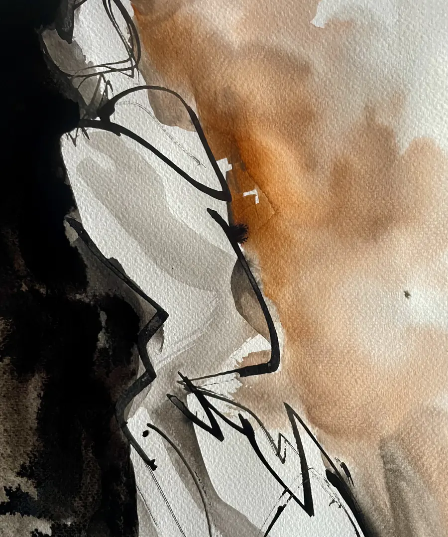 Détail d’encre et de lavis brun